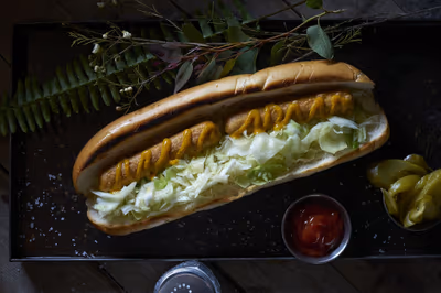 The Vegan Shawarma