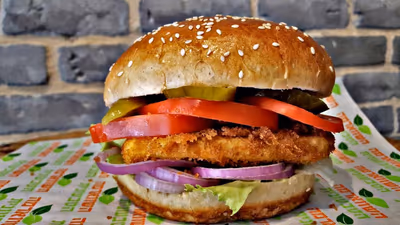 The Vegan Shawarma