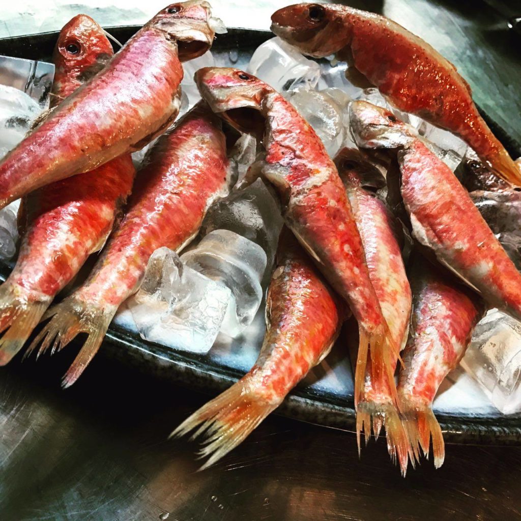 Shtsupak 