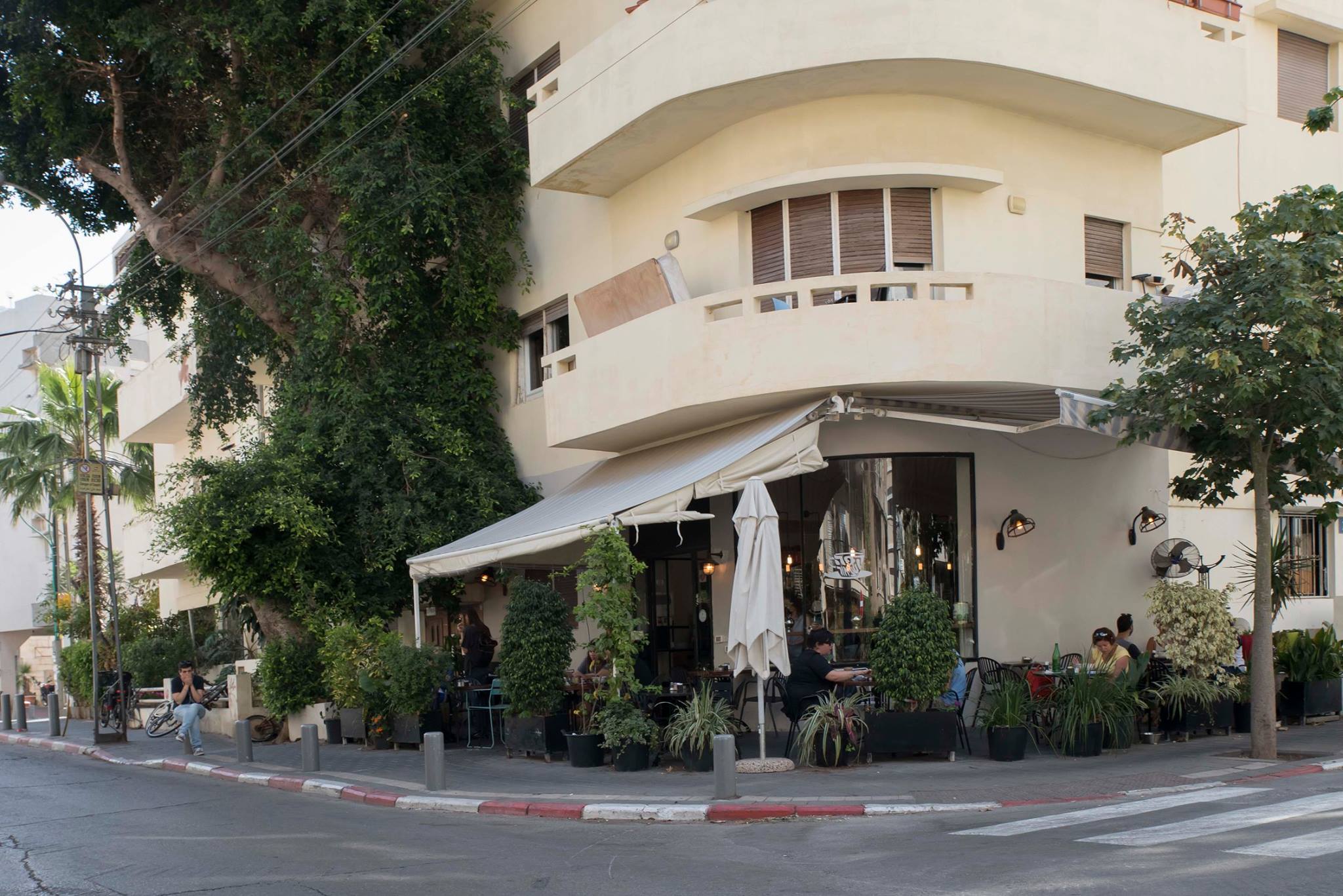 Cafe Shneor