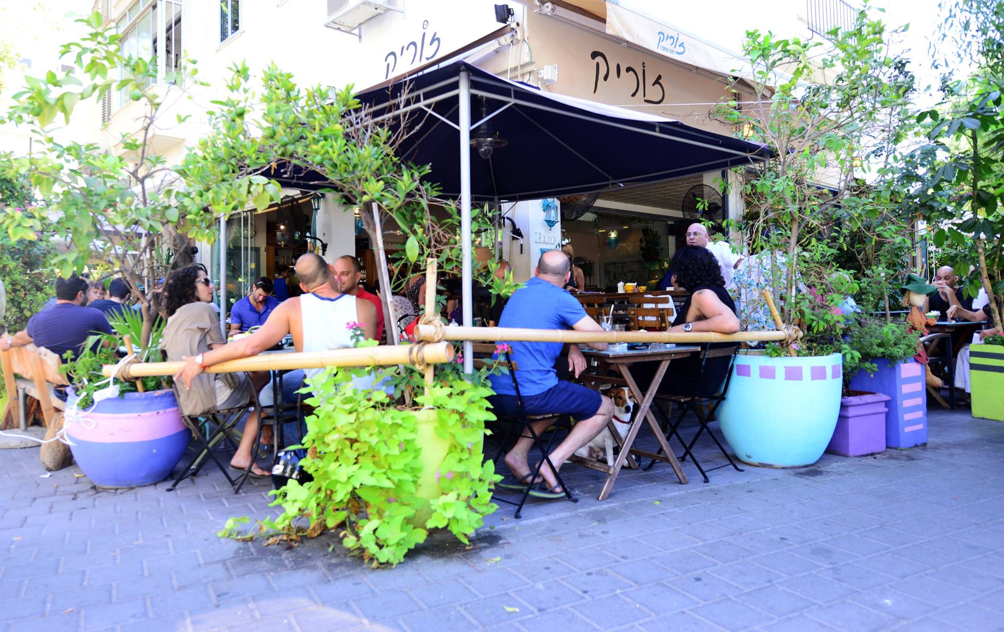 Cafe Zorik