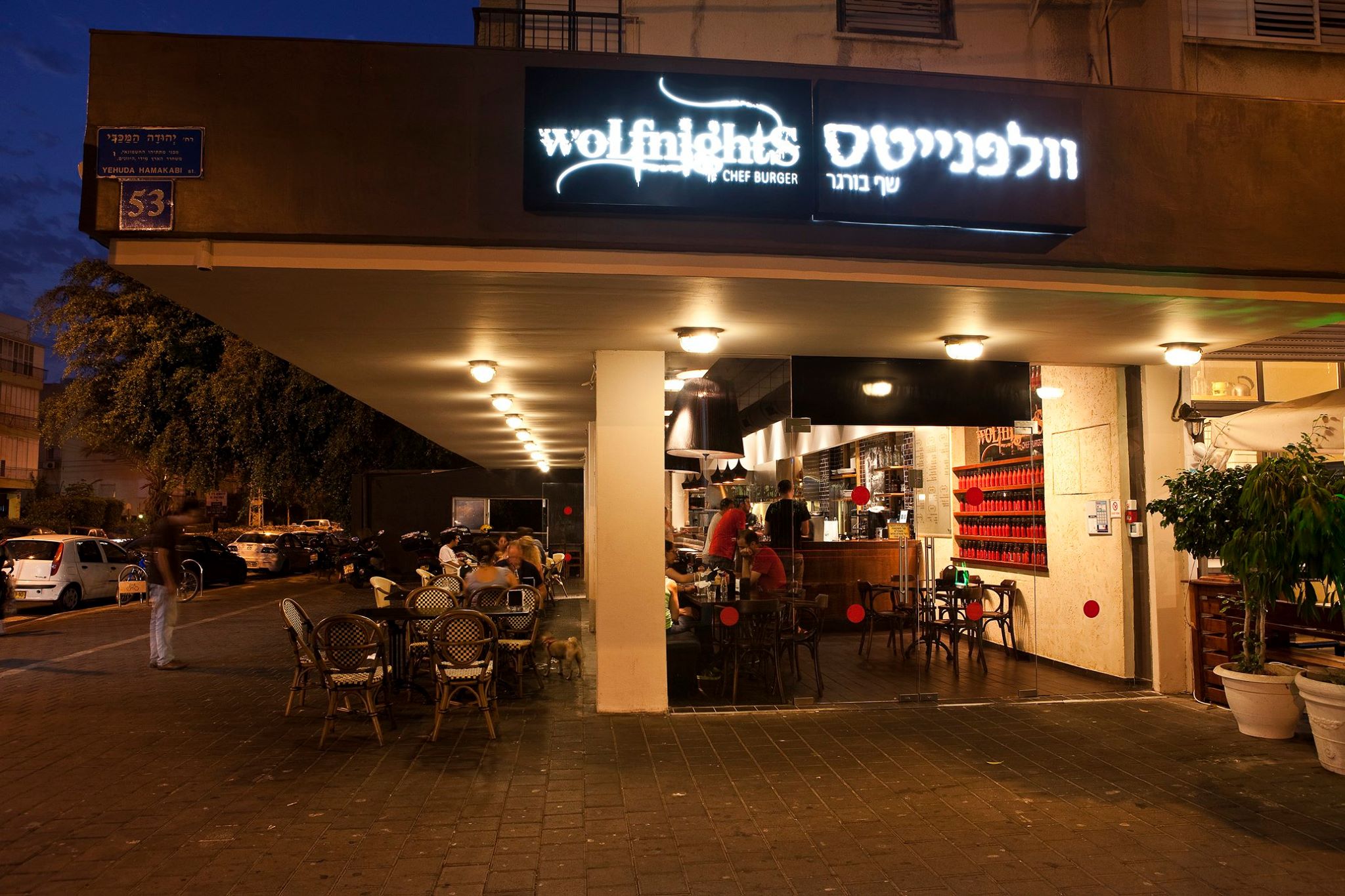 Wolfnights Yehuda Maccabi