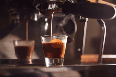 Cafelix Noga