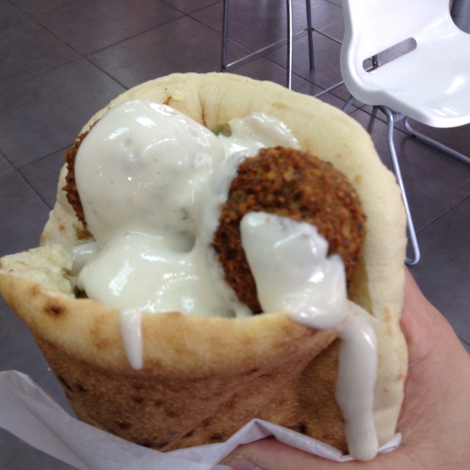 Falafel Gina Shoken
