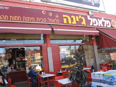 Falafel Gina Begin