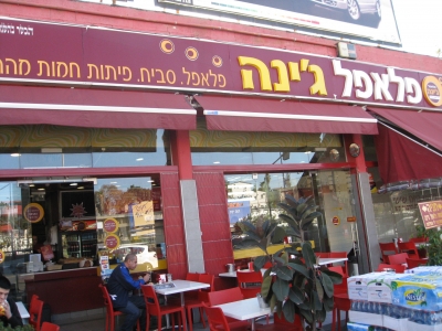 Falafel Gina Begin