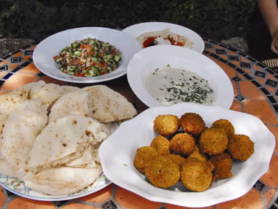 Falafel Gina Shoken