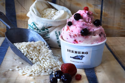 Iceberg Ibn Gabirol