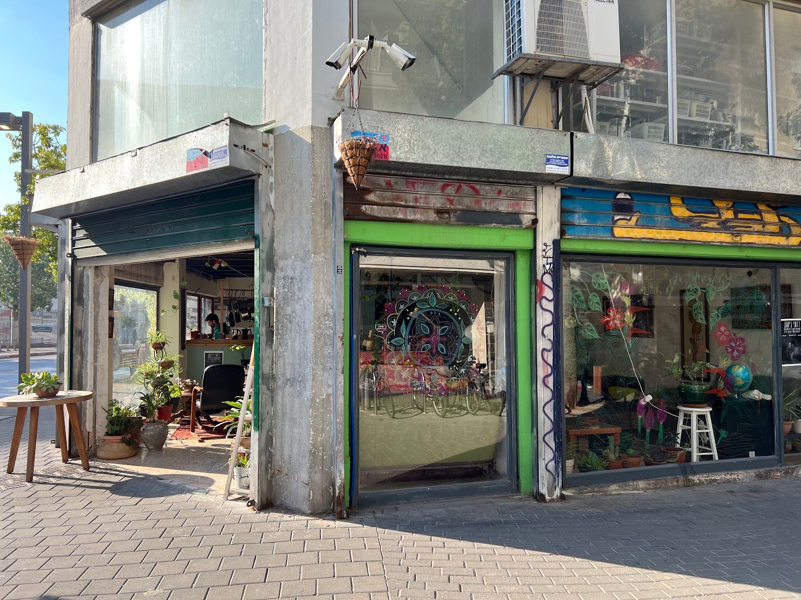 bendod (photo: Gal Ben Yitzhak)