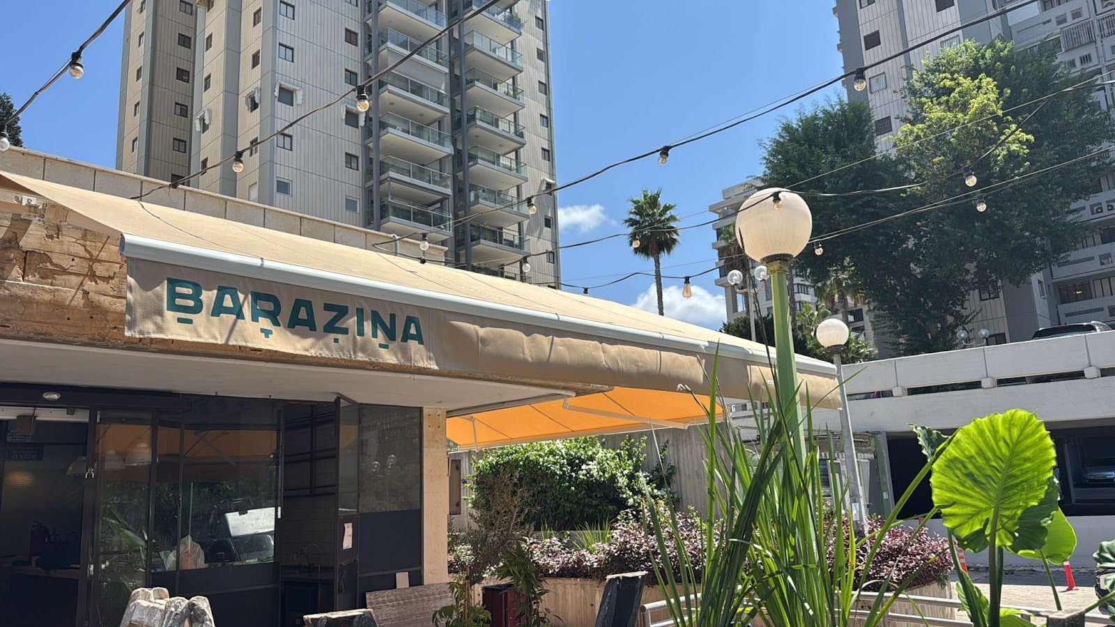 barazina (photo: ברזינה)