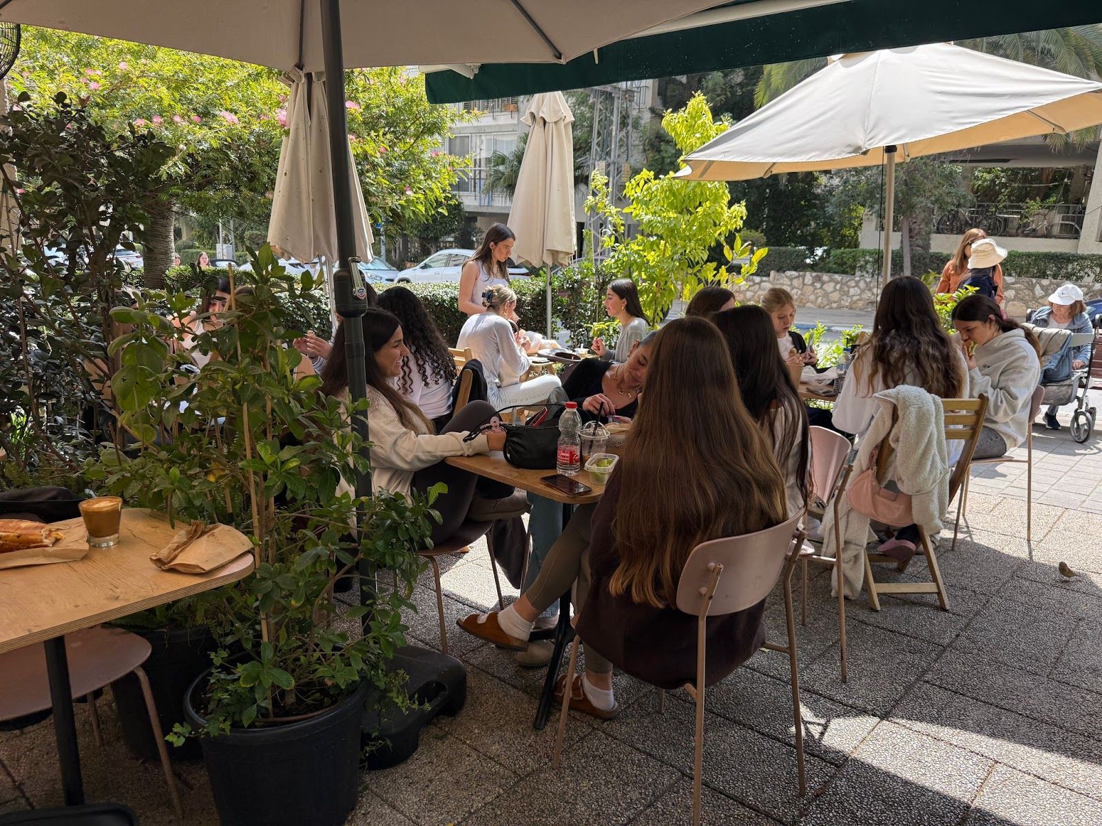hanvanit-cafe (photo: קפה החנוונית)