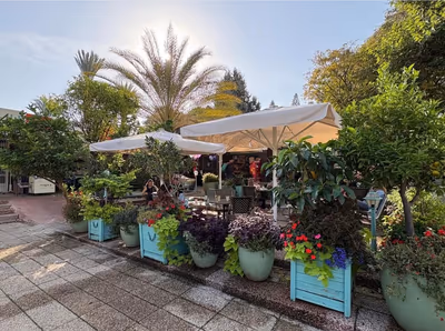 16 (photo: שרה 16)