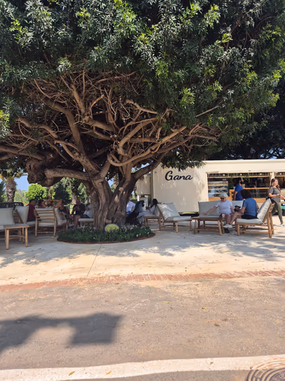 gana (photo: גנה - Gana)