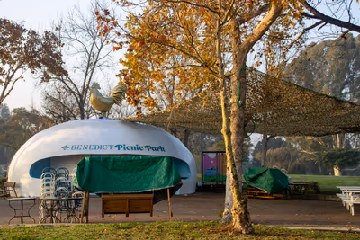 benedict-picnic-park (photo: Evie Fox)