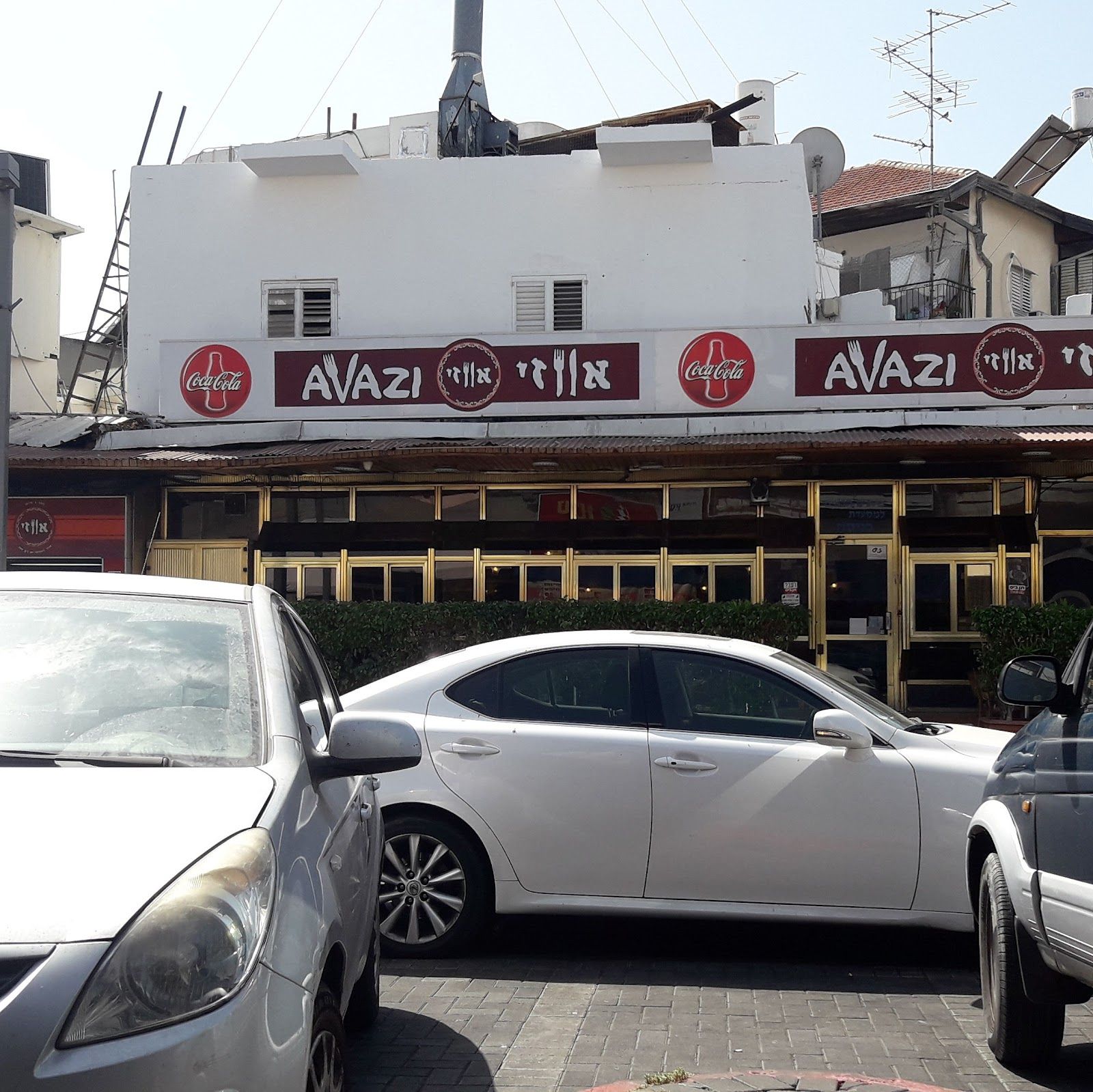 avazi (photo: שלי טלבי)