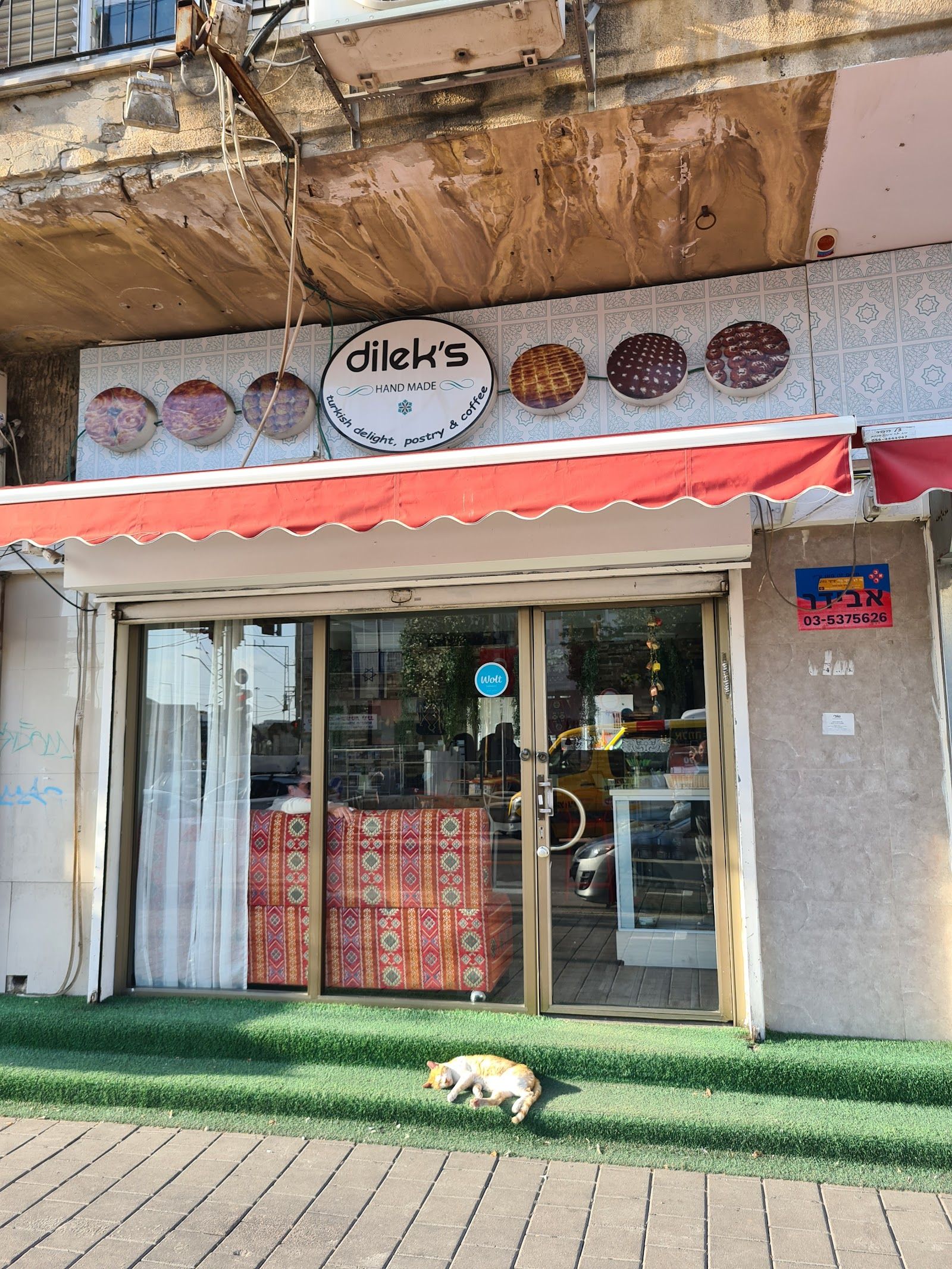 dilek-s (photo: Noam נועם Jacoby)