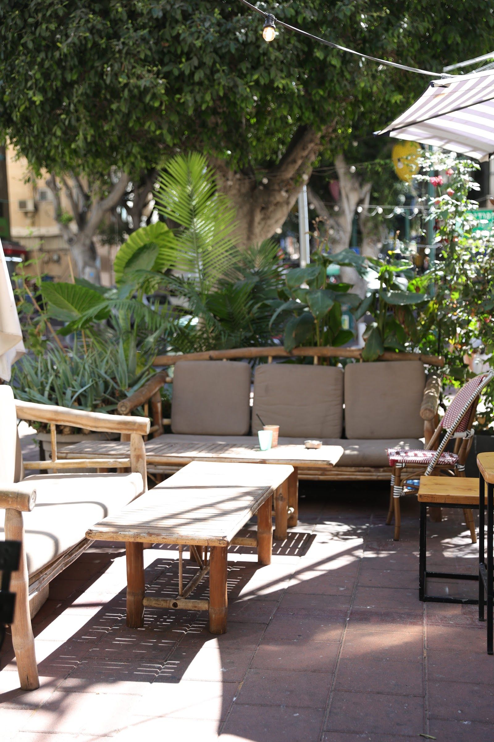 barcafe (photo: בר קפה - רש״י 23)