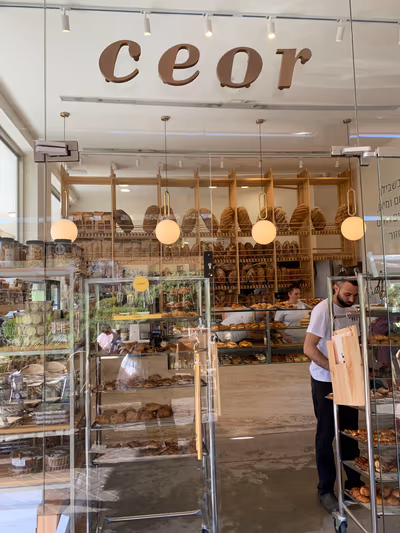 ceor (photo: רחל נוב)