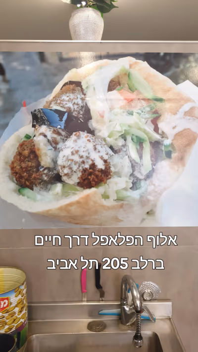 aluf-hafalafel (photo: אלוף הפלאפל)